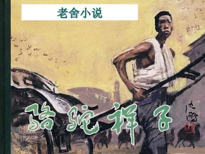 最新域名地址 永久地址